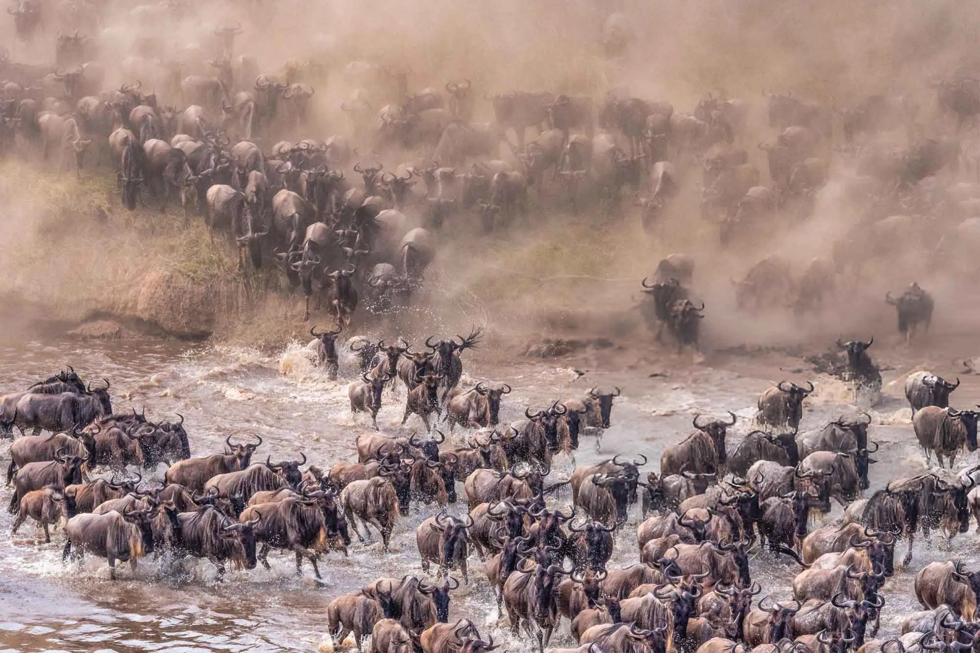 How to Plan a Tanzania Safari Without Seeing Another Tourist
