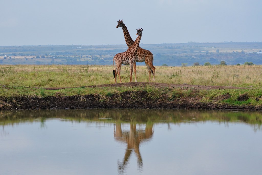 Kenya in October and November
