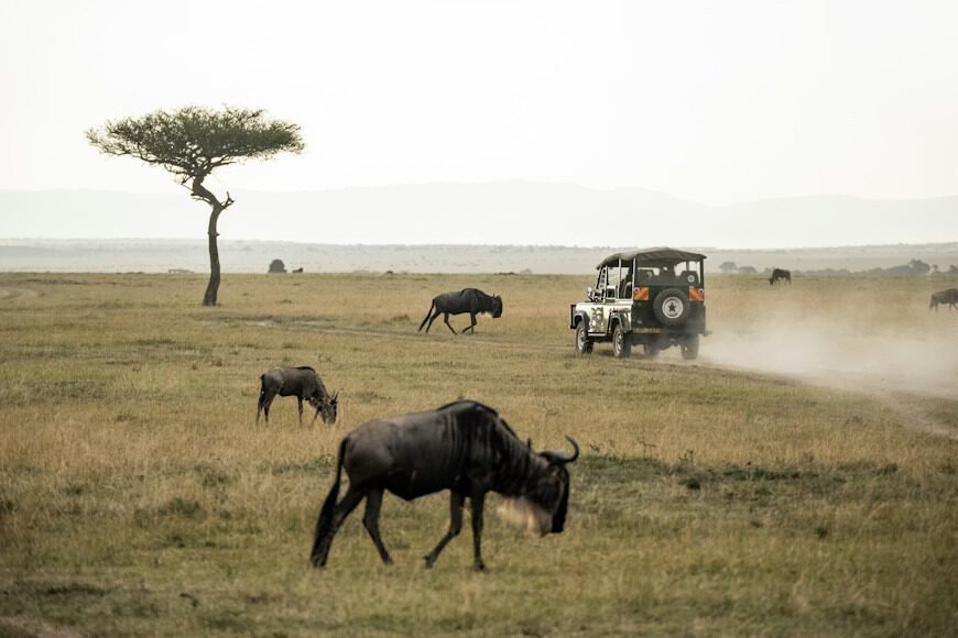 Masai mara national reserve[1]