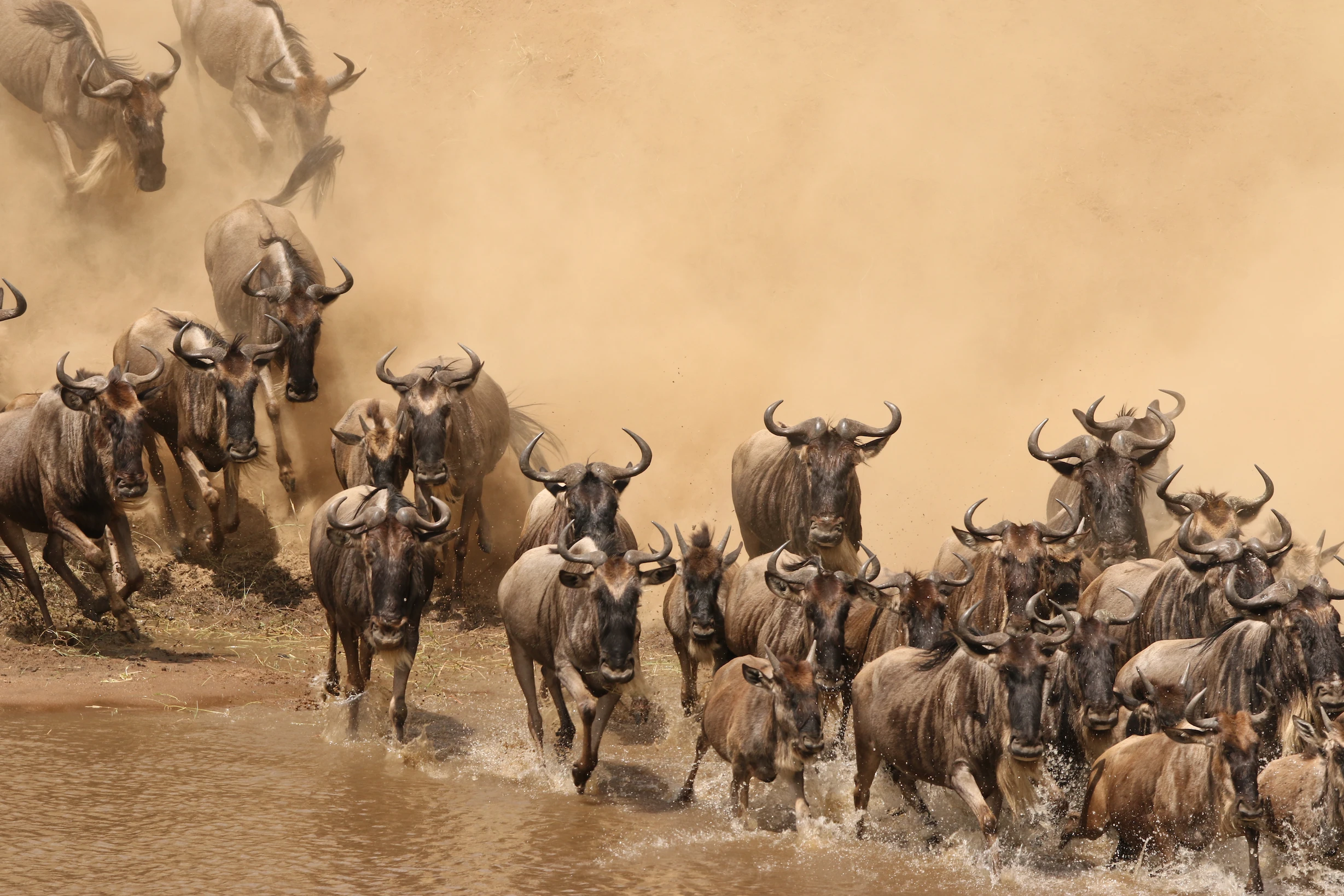 Kenya and Tanzania Combined Safari