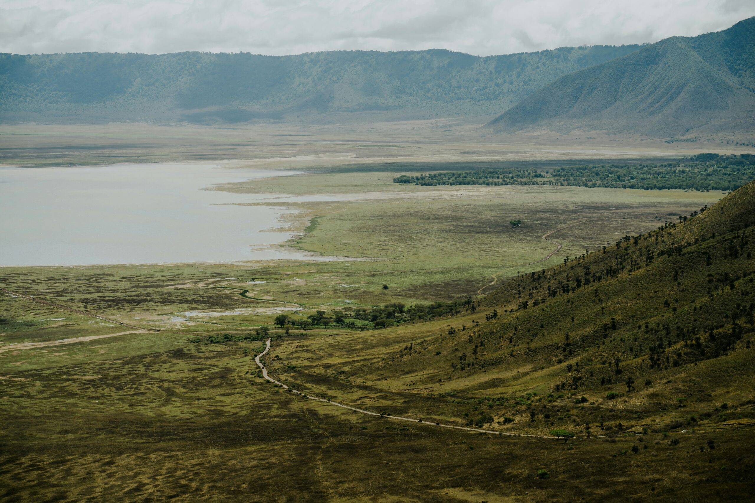 Ngorongoro crater