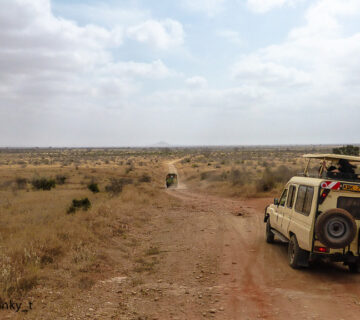 How Many Days on the Kenyan Coast After a Safari?