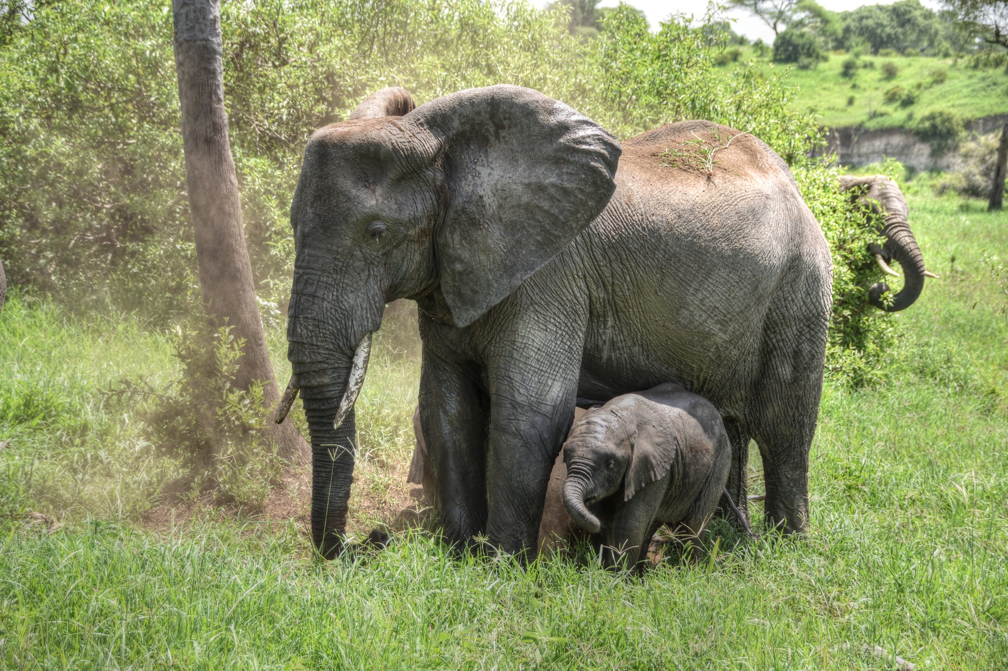 Tanzania in July and August