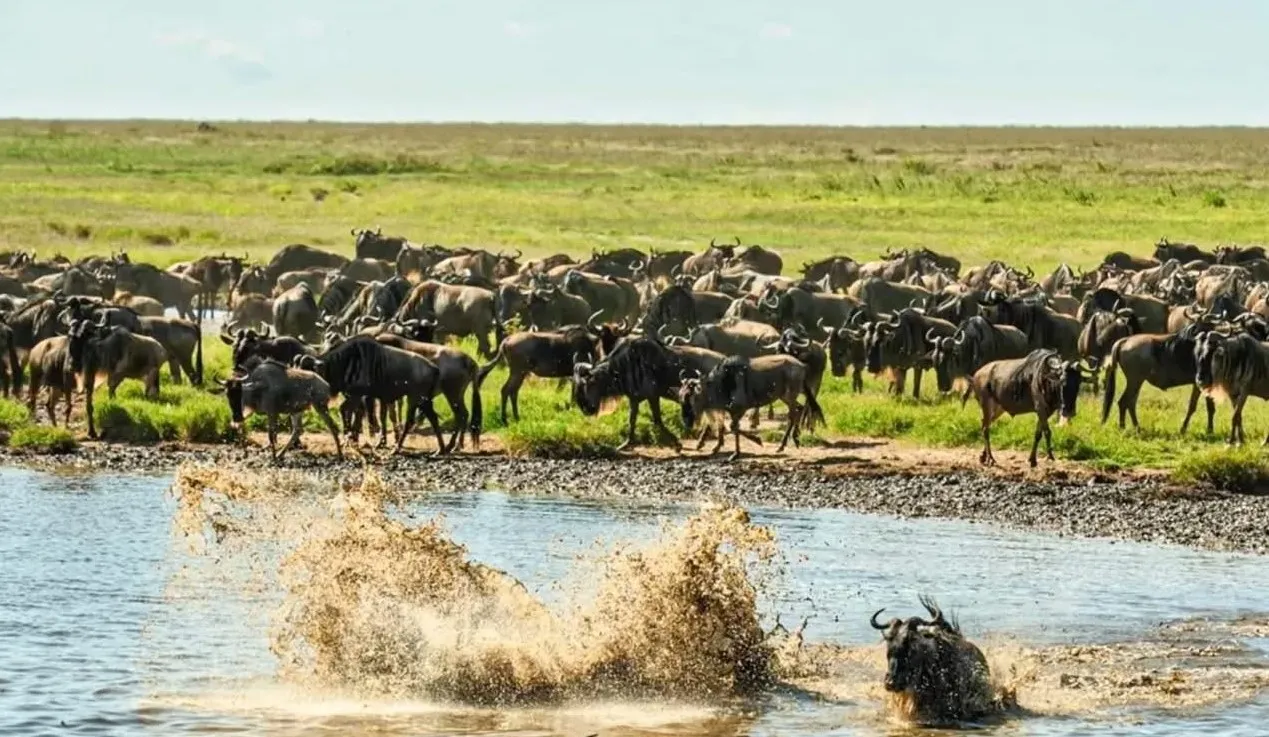 Why Tanzania’s Southern Parks Receive Only 5% of Visitors