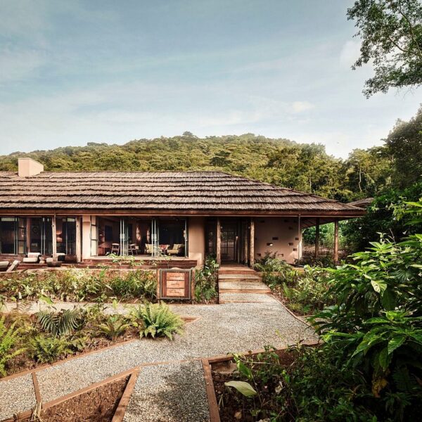 Gorilla forest lodge